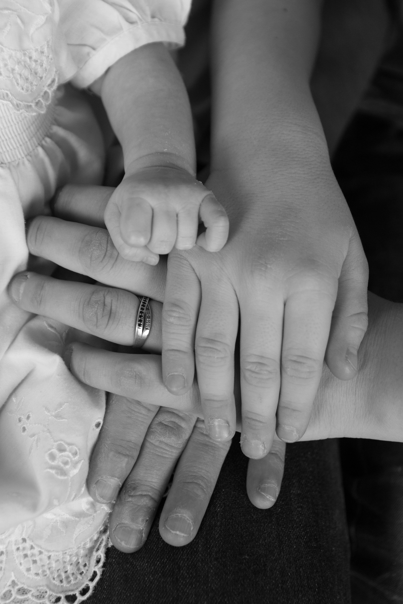 L' Oeil Noir Photographie